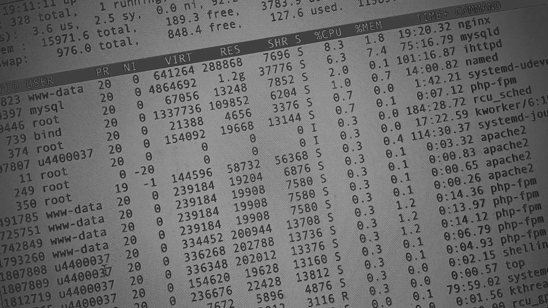 Настройка сервера в Асино