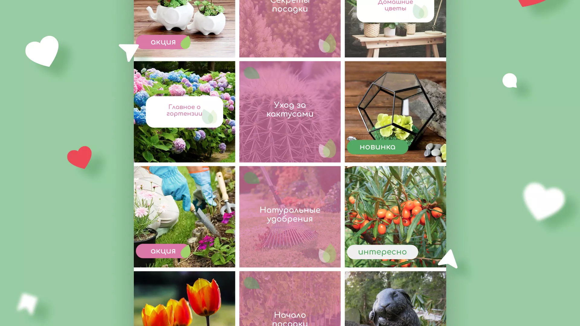 Разработка оформления профиля Instagram для магазина «Floraint» в Асино