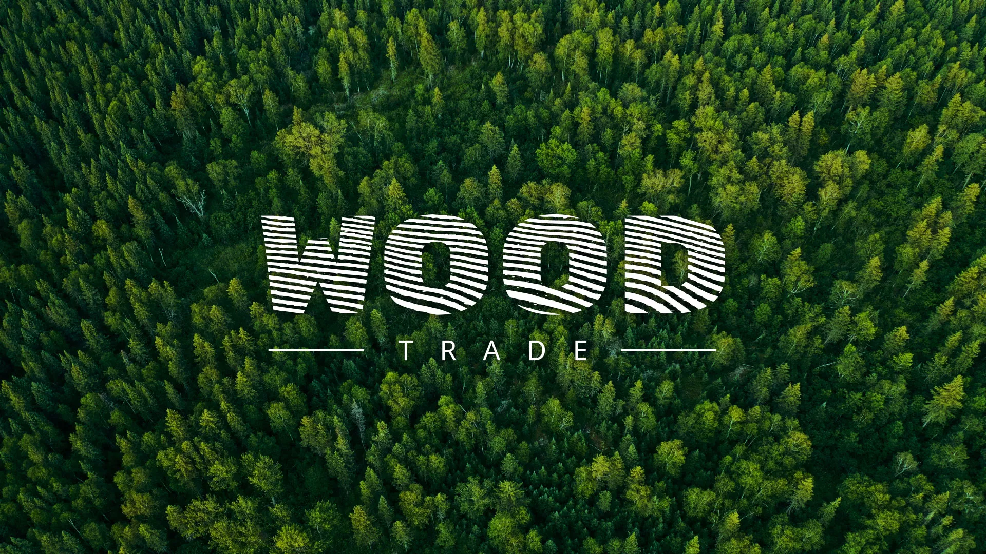 Разработка интернет-магазина компании «Wood Trade» в Асино